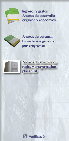 Anexos de inversiones reales y programacin plurianual